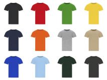Camiseta Adulto Color Stiles 170 gr
